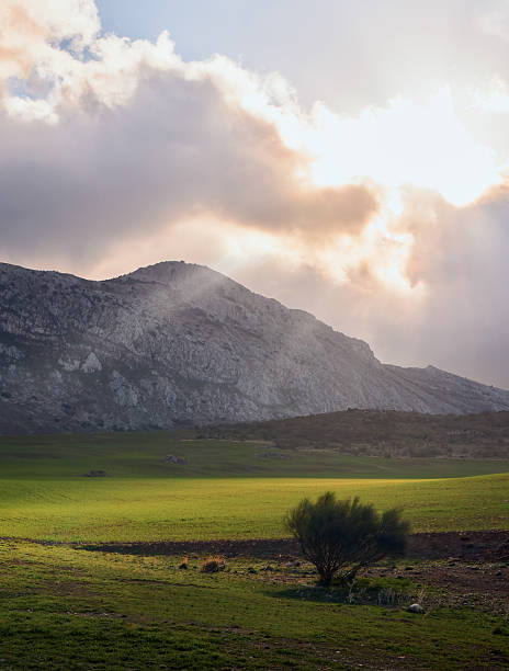 istock sun ray natural green meadow 2219219696