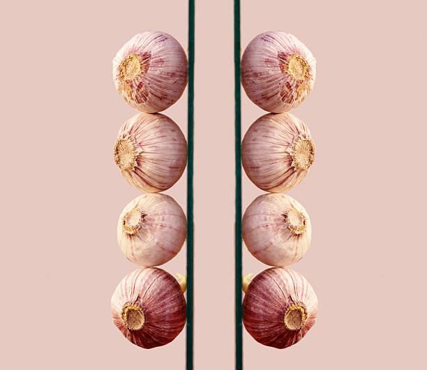 A symmetrical display of garlic bulbs aligned on perpendicular rods, their earthy tones and natural patterns set against a muted pastel background. Reflective imagery creates visually appealing balance and exploration of organic forms.