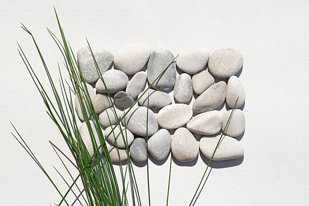 Background of stones with green grass