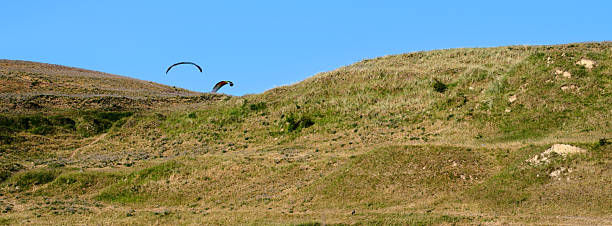 A tranquil scene of paragliders gliding over undulating grassy hills. The expansive blue sky contrasts beautifully with the lush terrain, evoking freedom. The natural setting offers peaceful and adventurous vibes in harmony.