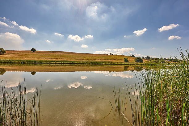 A tranquil scene of a Danish countryside river bordered by green grasses and reeds. Featuring clear water reflecting the sky and passing clouds, this serene landscape captures the peaceful beauty of summer.