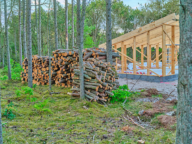 Wood for heating for the winter.