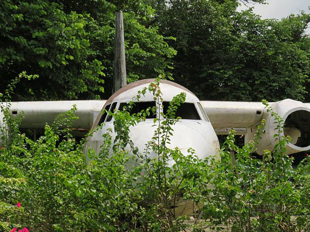Abandoned and derelict plane covered in vegetation in Yangon, Myanmar