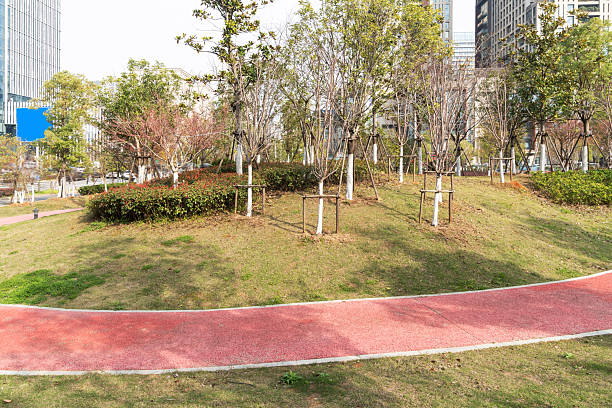 istock city park with modern building background in shanghai 2219232866