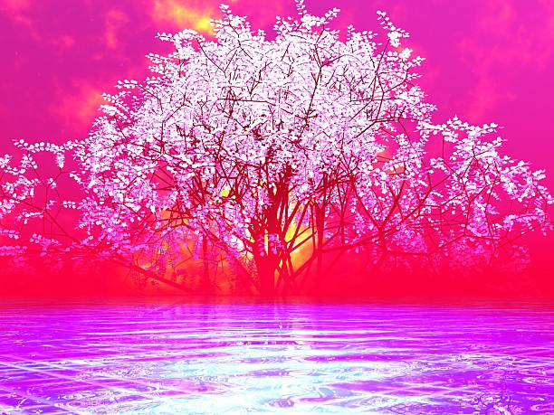 istock Fantastic landscape of Cherry Blossoms and Luminous Ocean 2219234219