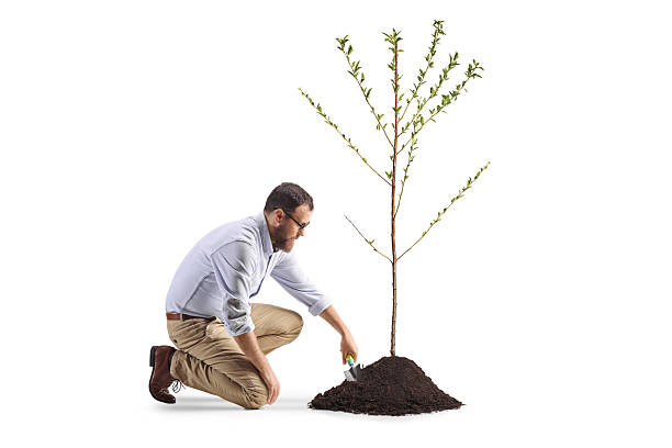 istock Man digging a pile of earth with a spade and planting a tree 2219237996