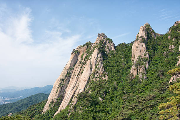 istock Summer Mountain Hiking in Seoul 2219243593