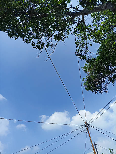 istock a pole full of electric cables. electric pole during the day 2219243769