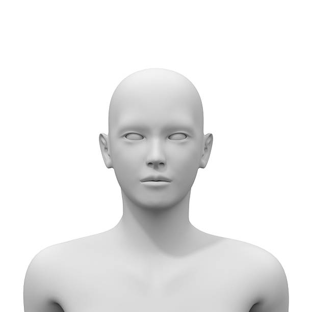 istock 3d rendered illustration of a human head 2219244295