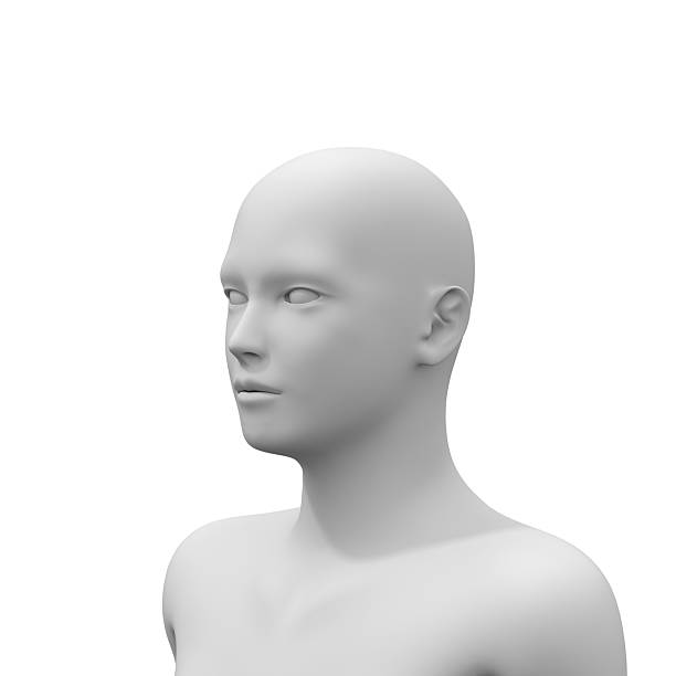 istock 3d rendered illustration of a human head 2219244362