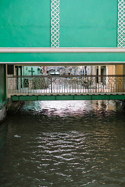 istock Green facade building with canal bridge and unique pattern design 2219247685