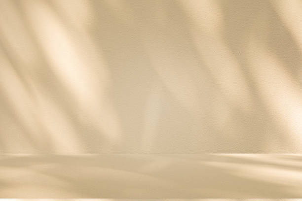istock Studio style background wall decoration presentation uses white and beige tones. with shadows cast from a nearby window, concept creating a decorative 2219248983