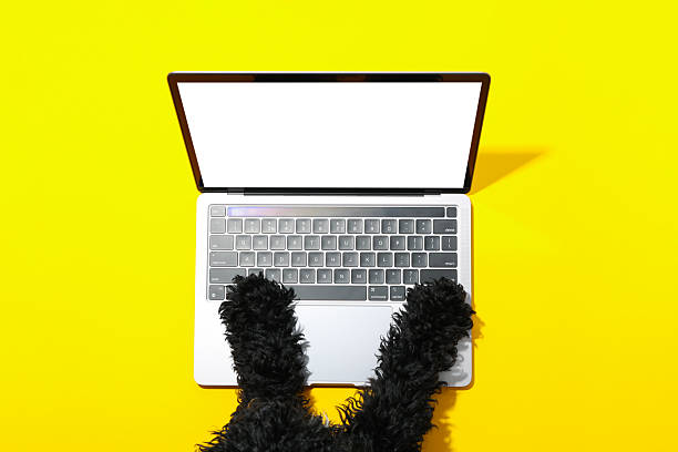 Laptop with blank screen and dog paws on yellow background