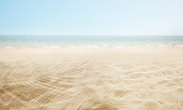 istock Smooth blur Scene of tropical beach with shadow of coconut tree leaf on clean sandy.Summer and holiday 2219251298