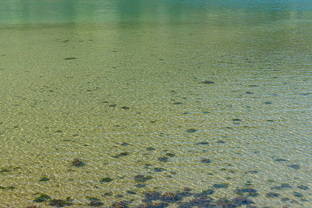Olden - Norway - June 28 - 2023 - Beach