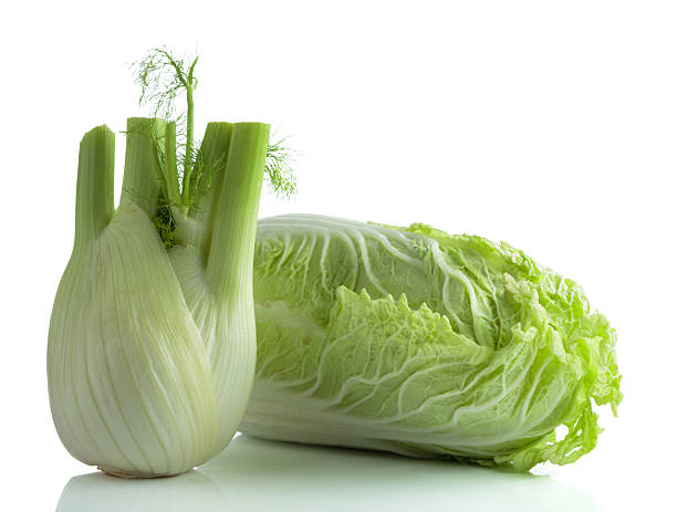 istock Fresh Chinese cabbage and fennel bulb isolated on a white background. 2219259082