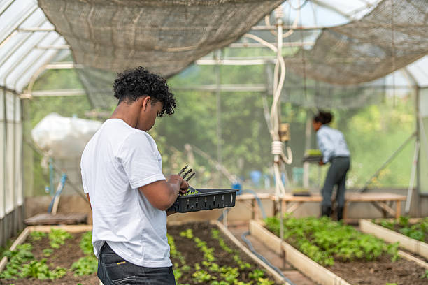 istock Two young people in a greenhouse discussing seedling growth while holding trays of sprouts, learning sustainable farming 2219259645