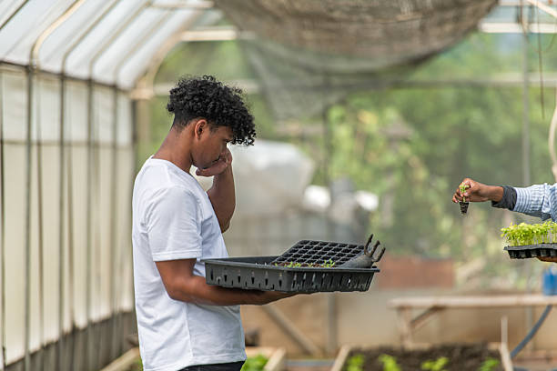 istock Two young people in a greenhouse discussing seedling growth while holding trays of sprouts, learning sustainable farming 2219259701
