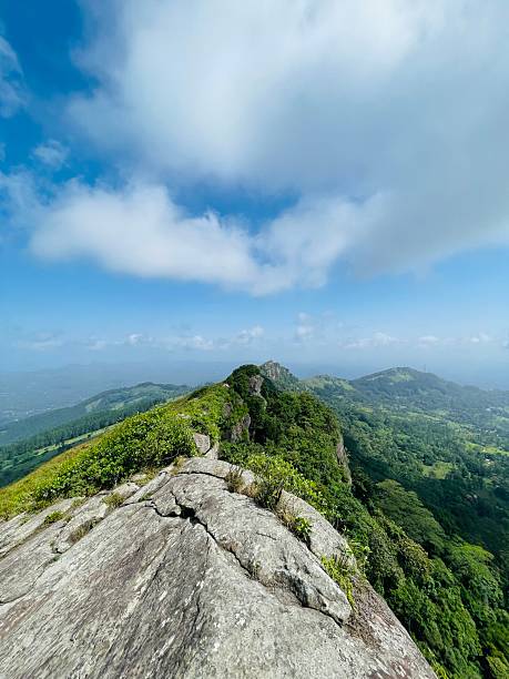 istock Edge of the World: The Green Horizon 2219262228