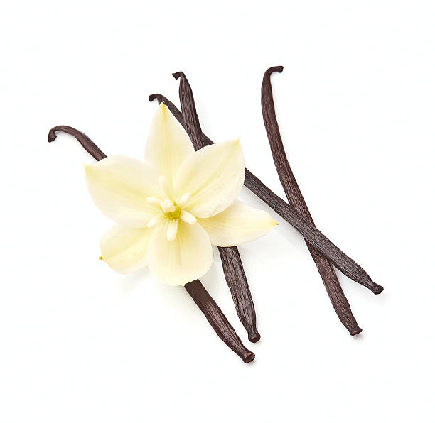 Vanilla stick with flower on white backgrounds