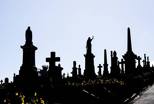 Silhouette of graveyard, the image shows many tombstone, the image in dark tone.