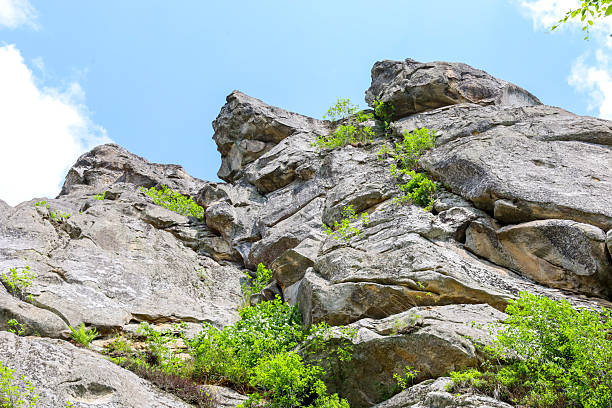 istock Massive rock formations with bizarre shapes, partially covered with vibrant green vegetation, demonstrate the grandeur and resilience of nature. 2219266654