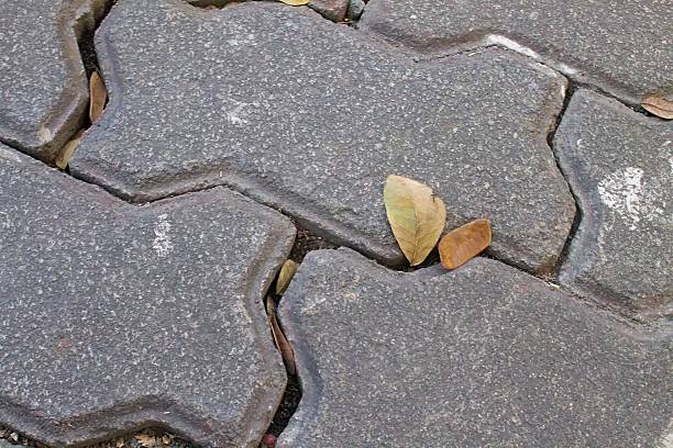 istock two yellow leaves fall on the paving stone 2219267133