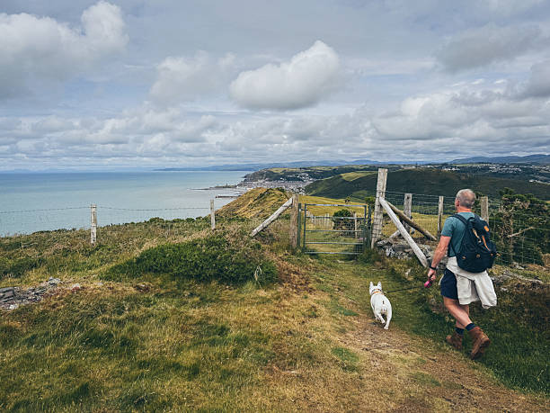 istock Man Hiking the Ceredigion Coast Path Toward Aberystwyth with Dog 2219268863