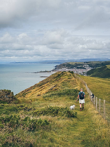 istock Man Hiking the Ceredigion Coast Path Toward Aberystwyth with Dog 2219269108