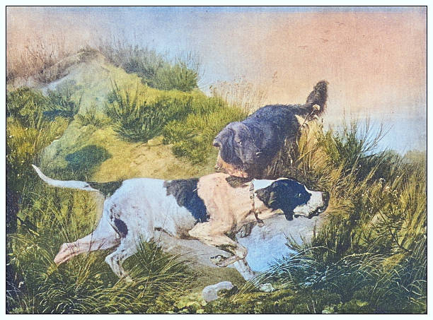 Antique famous painting from the 19th century: Pointer and Setter by C F Deiker