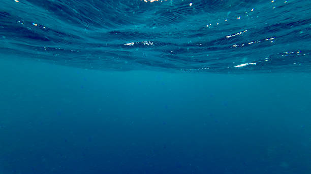istock View of the ocean surface from underwater. 2219276780