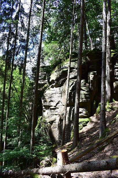 istock forest side cliffs at the Perekop mountain 2219277041