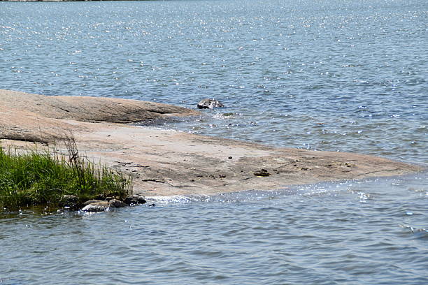 This is a view on a rocky beach in sunny summer day.