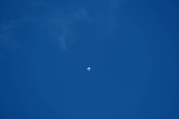 balloons in the blue sky on a clear day. Blue background.