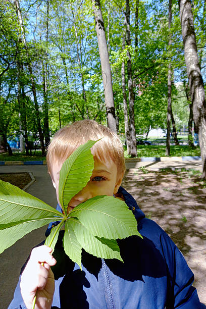 Close-Up Of Blond Boy Holding Leaves With Closed Eyes On Sunny Day