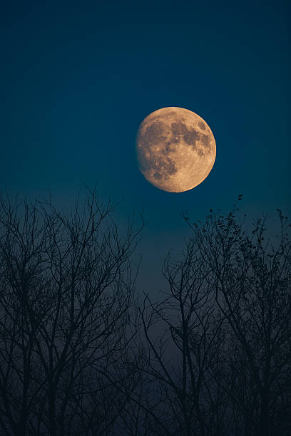 istock Full Moon, stars, planets and landscape scenery silhouettes. 2219289236