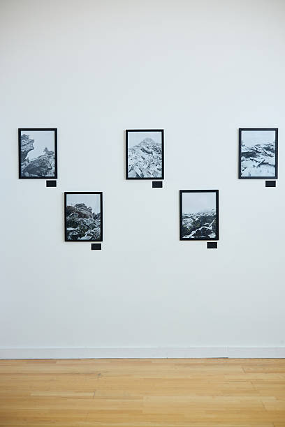 istock Framed Landscape Photographs Hanging in Modern Gallery 2219291728