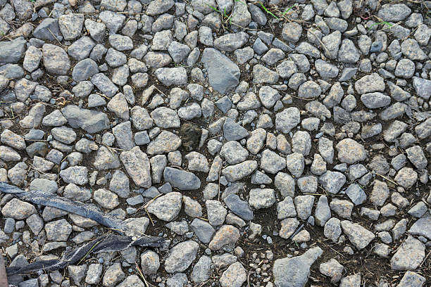 Closeup view of a rustic stone road surface texture featuring grey stones embedded in dark soil a natural ground background