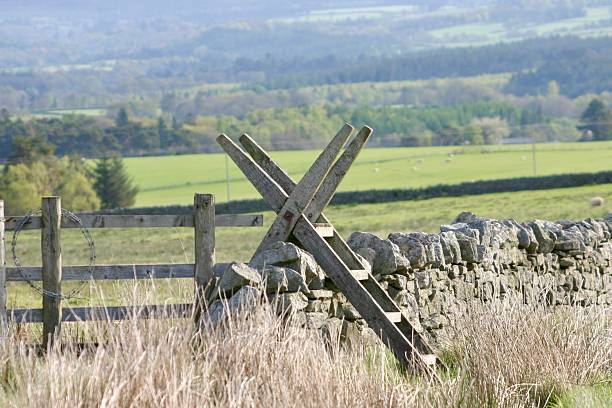 istock Wooden steps stile over dry stone wall 2219301604
