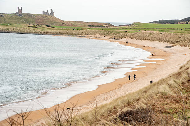 istock Embleton Bay and Dunstanburgh Castle 2219301724