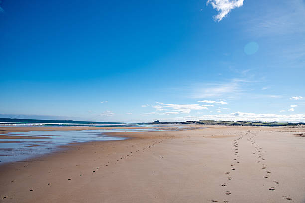 istock Ross Back Sands, Northumberland. 2219301744