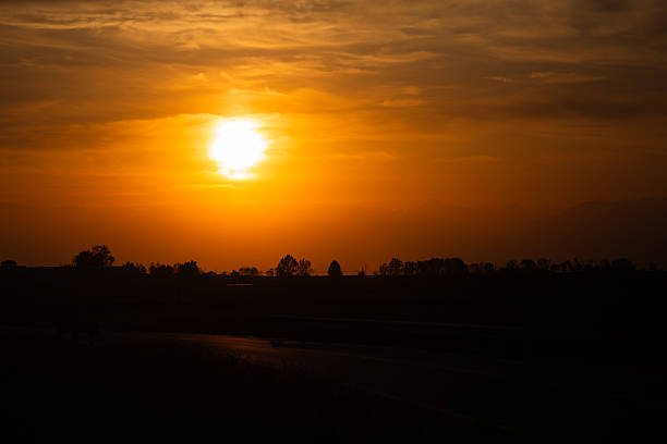 Scenic Sunset Over Countryside Featuring Silhouetted Trees and Golden Sky