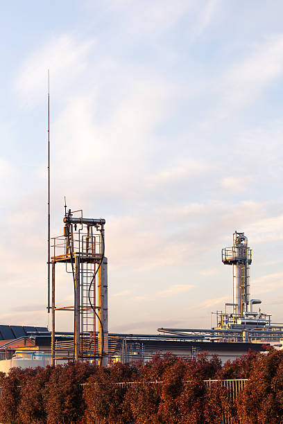 istock Industrial Structures at Sunrise with Lush Vegetation in Foreground 2219302203