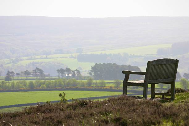 istock Wooden bench looking over countryside view 2219302222