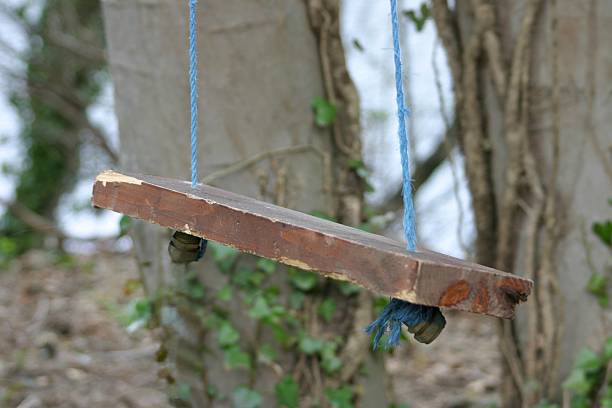 istock Home made swing in countryside woods 2219302230