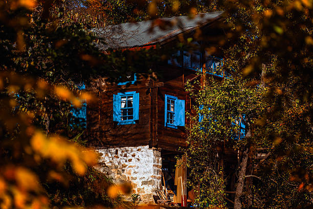 A village house with wooden walls, a stone base, and blue window shutters—reflecting the traditional architecture of the Black Sea Region. Partially hidden among autumn leaves. Photographed in northern Turkey.