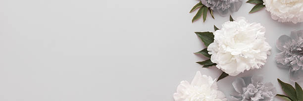 istock Fresh soft white and dark peony flowers with leaves on gray table background. Empty place for emotional, sentimental text, quote or sayings. Closeup. Wide banner. Top down view. 2219305269