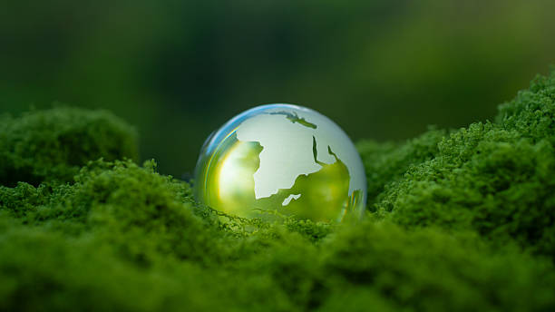 istock Environmental concept - Crystal Earth on green moss in forest to protect nature. Environmental care, Ecology, Earth Day. 2219306831
