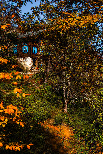 A village house with wooden walls, a stone base, and blue window shutters—reflecting the traditional architecture of the Black Sea Region. Partially hidden among autumn leaves. Photographed in northern Turkey.