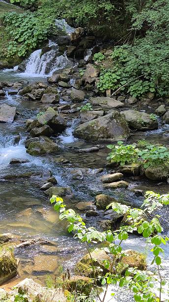 istock Kamianka Waterfall: Majestic Cascade in Ukraine 2219310770